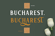 Florenia Display Serif, a Serif Font by Typia Nesia (Thumbnail 7 of 11)