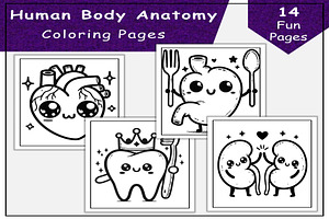 Human Body Anatomy Coloring Pages, an Education Illustration by Lamia Emad