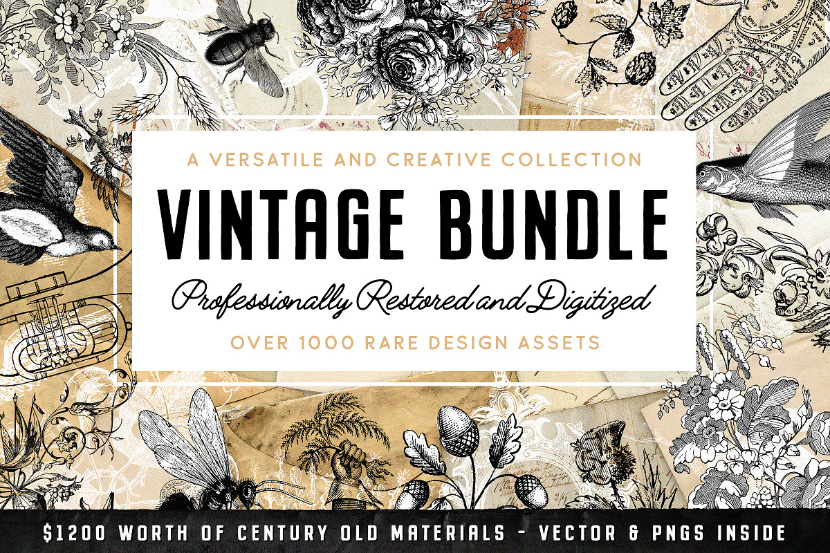 The Vintage Graphics Design Pack, a Decorative Illustration by Century Library (Photo 1 of 14)