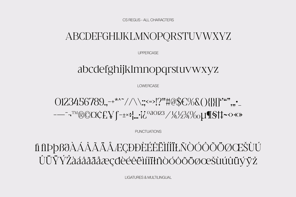 CS Regus – Modern Serif Font, a Serif Font by Craft Supply Co. (Photo 8 of 8)