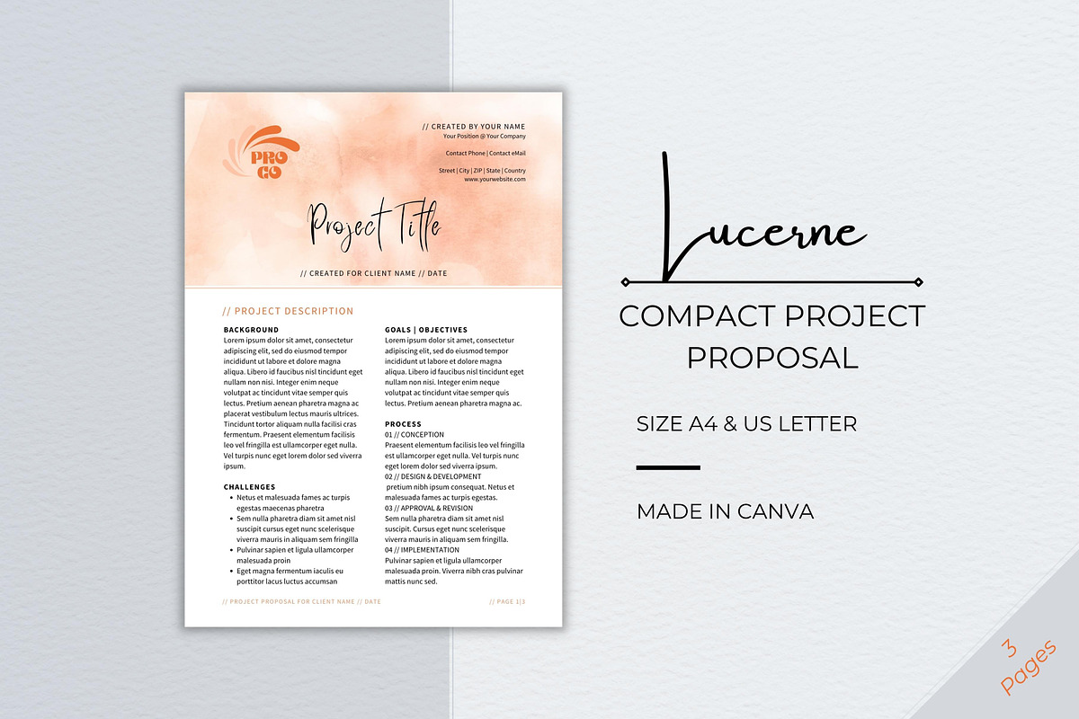 Professional Project Proposal Deck