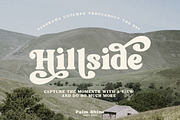Palm Shine - Bold Swirl Serif, a Serif Font by roomspace creative lab (Thumbnail 3 of 13)
