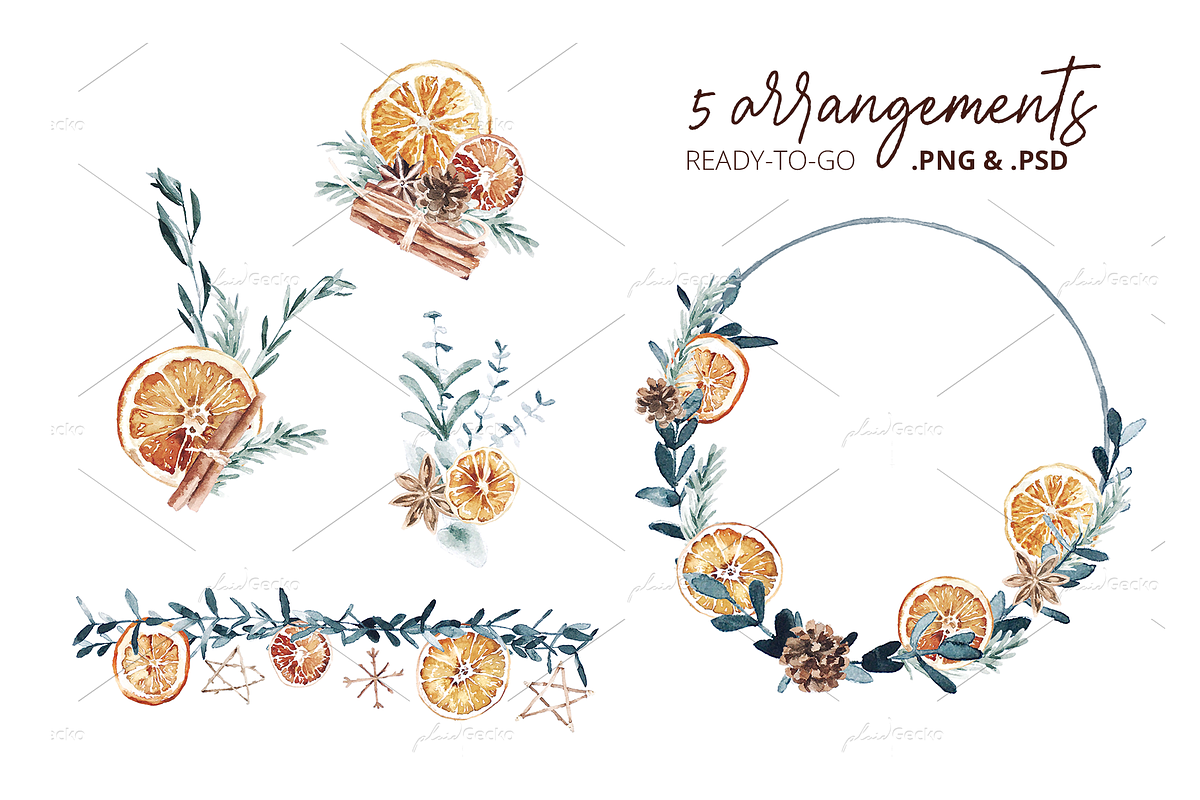 Dried Orange Christmas Spices, a Decorative Illustration by plaidGecko (Photo 3 of 6)