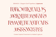 BRANCH - Elegant Serif Typeface, a Serif Font by zeenesia (Thumbnail 16 of 16)