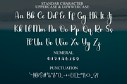 Angela Chubby, a Handwritten Font by FreshTypeINK (Thumbnail 4 of 8)
