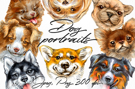 Dog portraits clipart