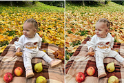 Fall Lightroom Presets Bundle, a Preset Add-On by Victoria Bee Presets (Thumbnail 14 of 17)