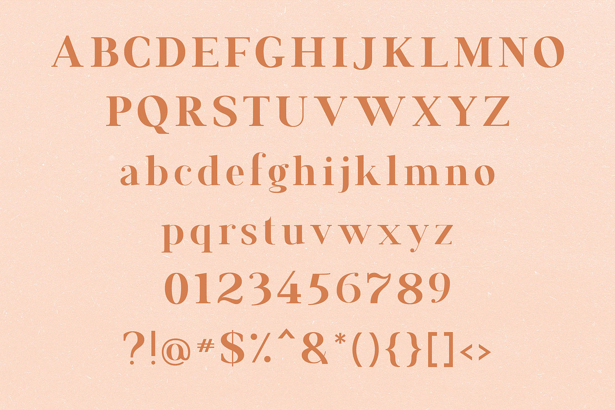 Francois Modern Serif Font, a Serif Font by Fancy Malone (Photo 11 of 12)