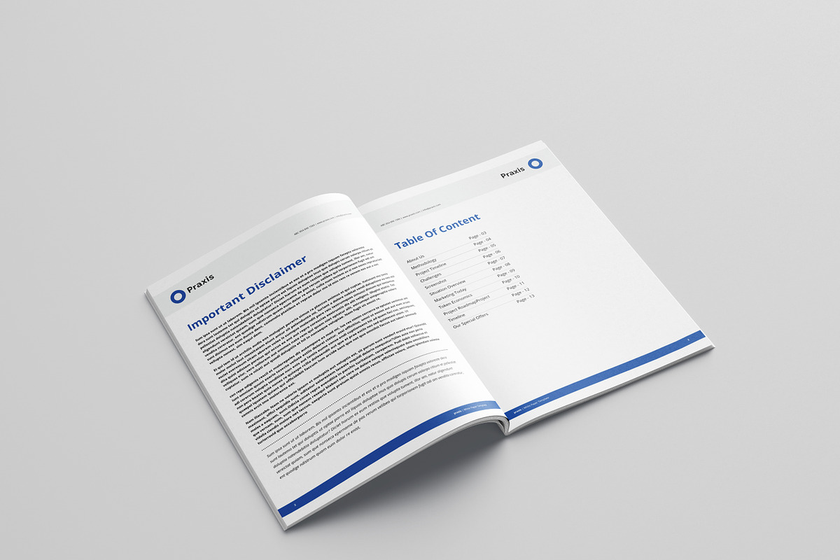 White Paper Template Word, a Brochure Template by azadcsstune (Photo 3 of 12)