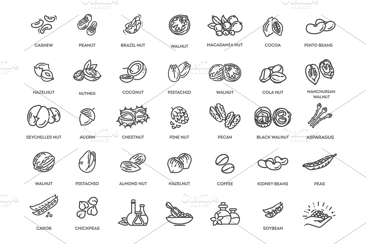 Nuts and Beans Icons, a Food Illustration by Tettygreen (Photo 1 of 3)