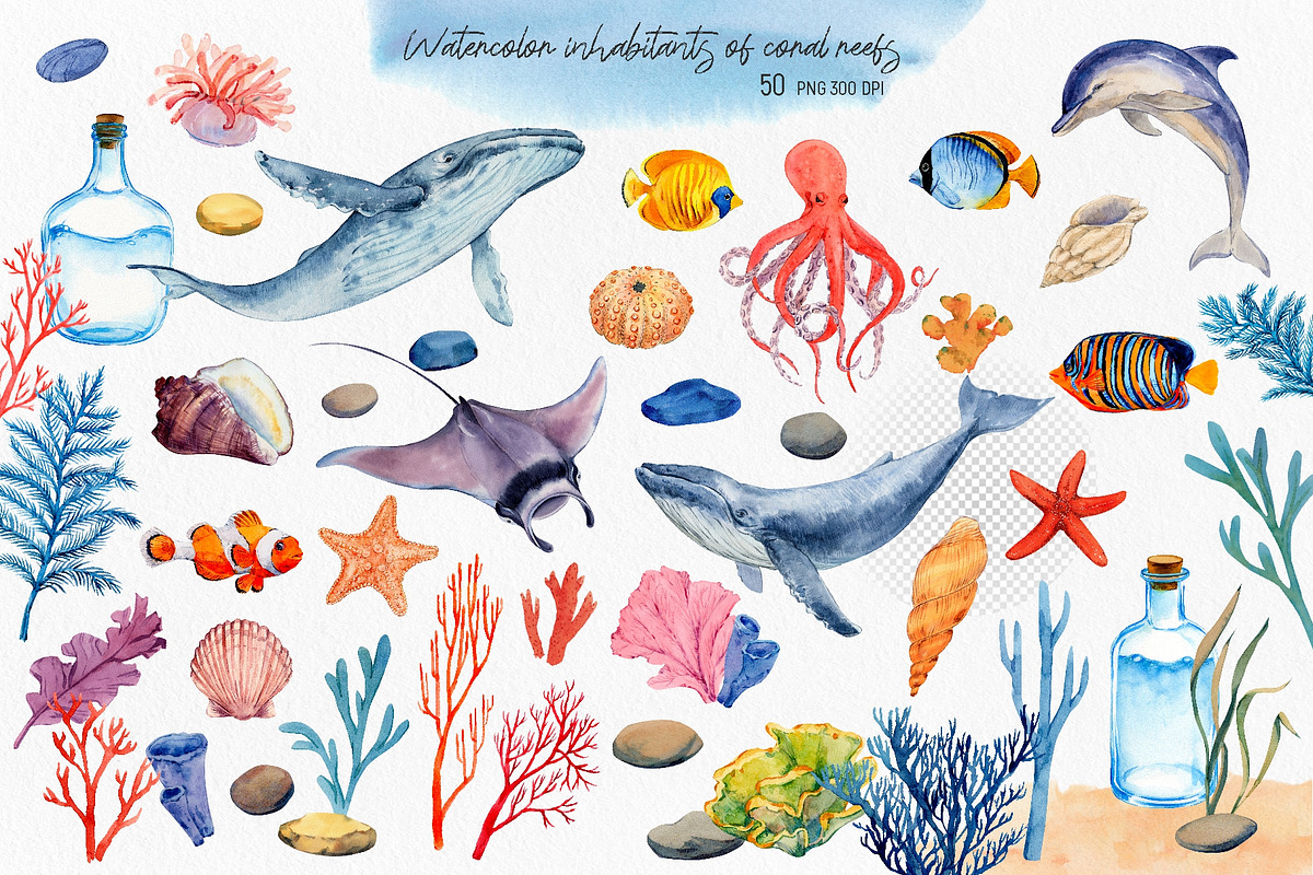 Coral Reef. Watercolor Set, an Illustration by Tata Pilip (Photo 2 of 16)