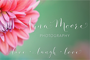 Fashionista Modern Calligraphy, a Script Font by Emily Spadoni (Thumbnail 6 of 9)