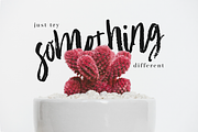 Academy House + Logos, a Script Font by Flycatcher Design (Thumbnail 2 of 9)