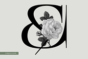 Central Display, a Serif Font by Prioritype Co (Thumbnail 5 of 10)