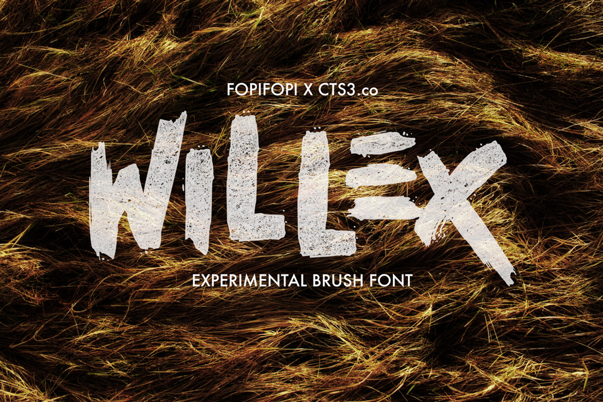 Sale ! 50% off Willex Brush Font