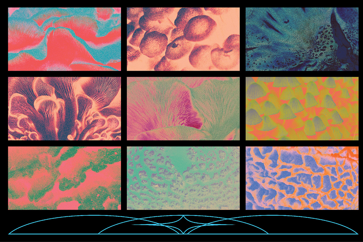 Fungi Textures, a Texture Graphic by Kapoor Design Empire (Photo 6 of 8)