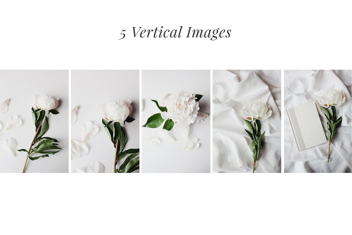 White Peony Bundle + Bonus, an Arts & Entertainment Photo by Light & Grace (Photo 3 of 8)