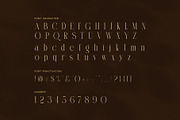 Silman Elegant Serif Font, a Serif Font by Perfectype (Thumbnail 7 of 8)