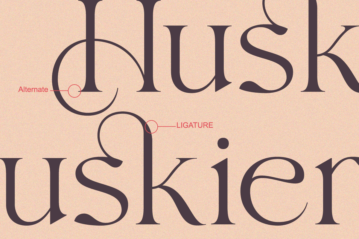 Elaine Dawn - Modern Luxury Serif, a Serif Font by Qweera Studio (Photo 3 of 12)