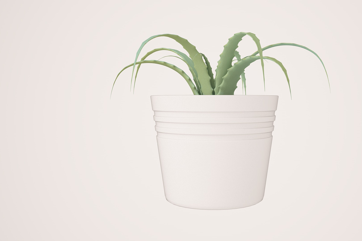 Plant n°1, an Object 3D Model by 3D Furnishing (Photo 2 of 20)