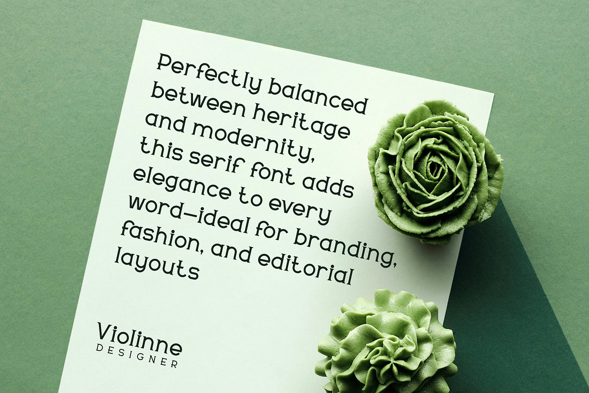 Delavine - Modern Serif Font, a Serif Font by Mily Studio (Photo 7 of 15)