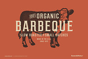 The Vintage Style Three Font Bundle, a Serif Font by Komet & Flicker (Thumbnail 12 of 15)
