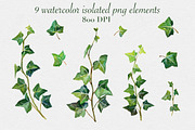 Watercolor ivy set, a Decorative Illustration by mArtstore (Thumbnail 2 of 7)