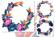 Monstera and Strelitzia watercolor, an Illustration by Salted Galaxy (Thumbnail 3 of 15)