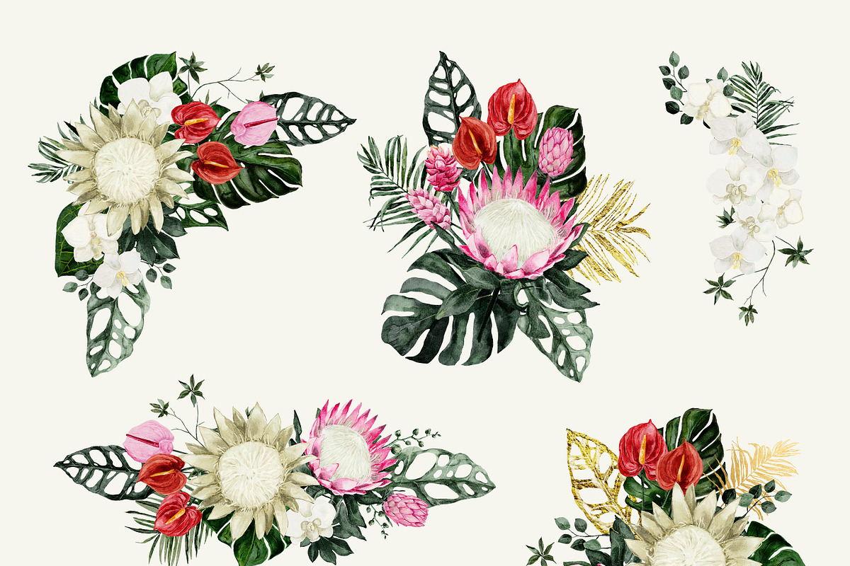 Protea - tropical collection, a Texture Illustration by Backyard Rose (Photo 8 of 22)