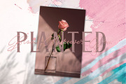 Las Pariellas Font Duo, a Script Font by Astageni (Thumbnail 4 of 10)
