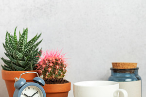 Coffee cup, alarm clock and cacti creating relaxing morning atmo, a Background Photo by Olena Rudo