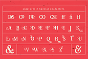 Goodfood Font Family, a Serif Font by MaGo (Thumbnail 2 of 7)