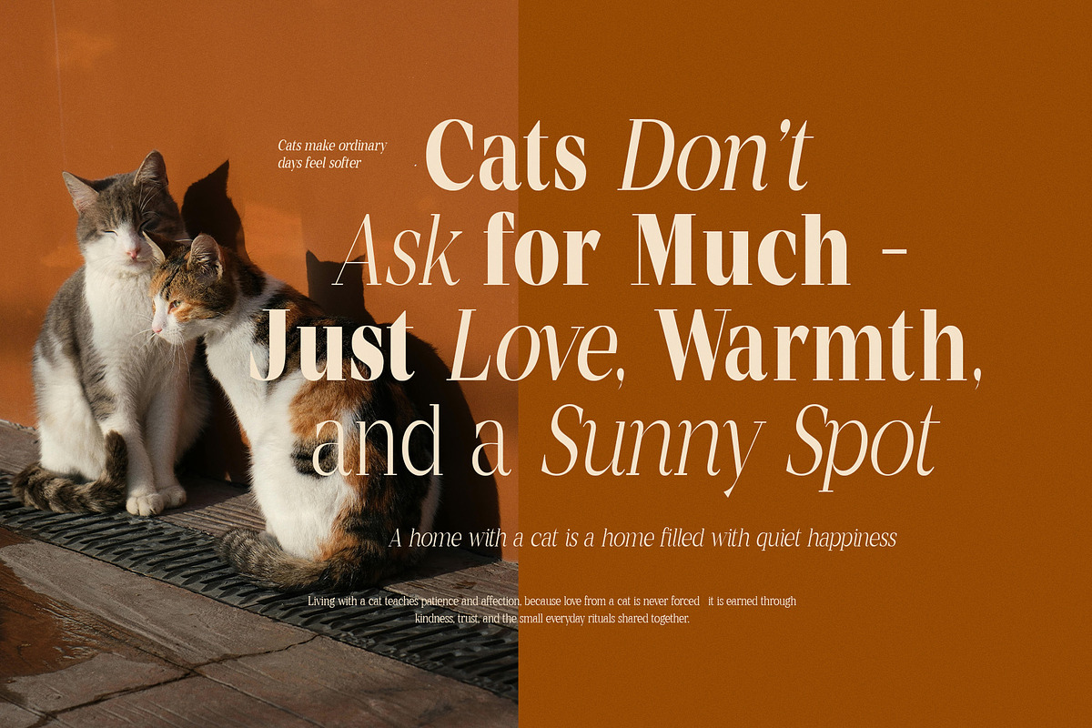 Mentoz Elegant Serif Font Family, a Serif Font by Graphicxell (Photo 6 of 10)