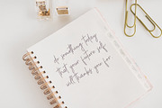 Charleston (70% off ), a Script Font by Paul Hewitt (Thumbnail 6 of 6)