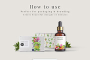 Medicinal Herbs Watercolor Clipart, a Healthcare Illustration by AnitaPol (Thumbnail 8 of 11)