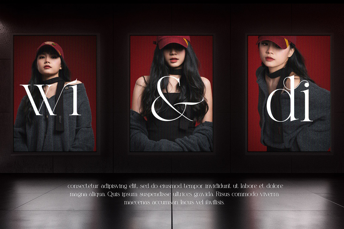Nicken Modern Serif Typeface, a Serif Font by Alfinart (Photo 5 of 10)