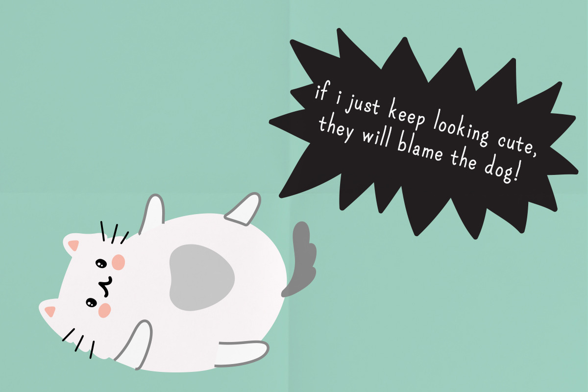 Meow: a hand-drawn serif font preview 4