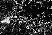 Lilliputian, a Texture Graphic by Jennifer Lauren Creative (Thumbnail 3 of 28)