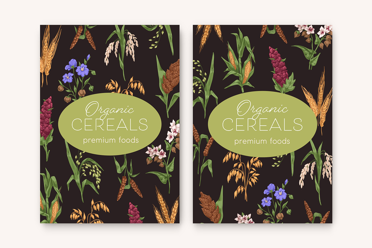 Cereal plants set + backgrounds, a Food Illustration by Good Studio (Photo 4 of 6)