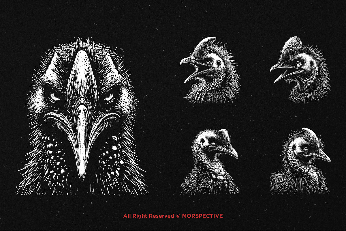 10 Bundle Dark Art Cassowary Bird, an Illustration by Morspective (Photo 5 of 7)