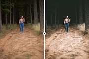 Forest VSCO-Like Lightroom Preset, an Action Add-On by M E G A S E T S (Thumbnail 6 of 6)