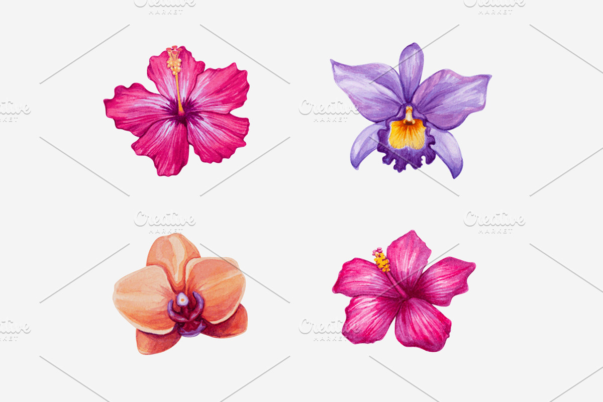 Vector Watercolor Tropical set, a Decorative Illustration by Bigio Designs (Photo 4 of 4)