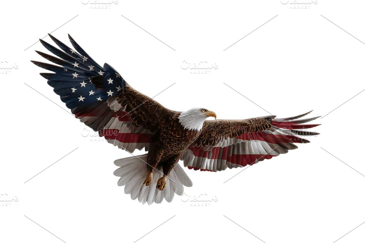 American Eagle Patriotic flag 4 July, a Graphic by VetalStock (Photo 5 of 11)