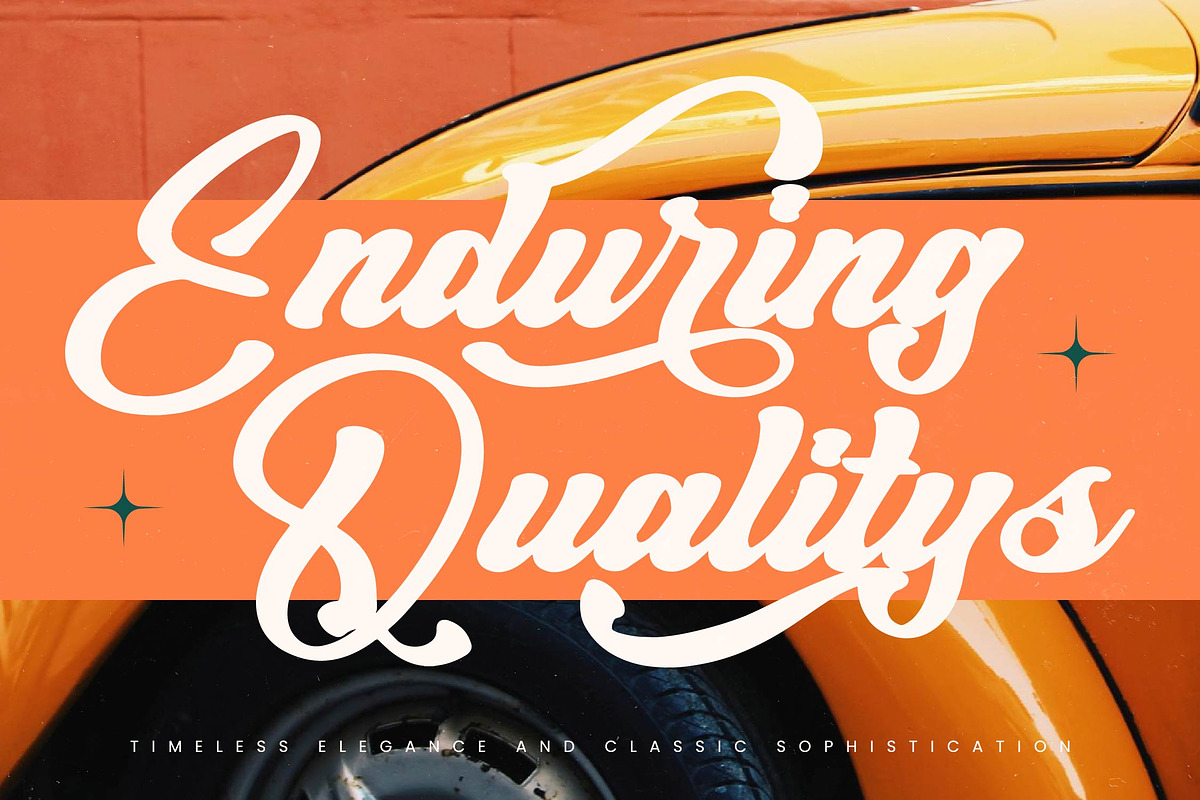 Wildtrip Nature Modern Bold Script preview 5