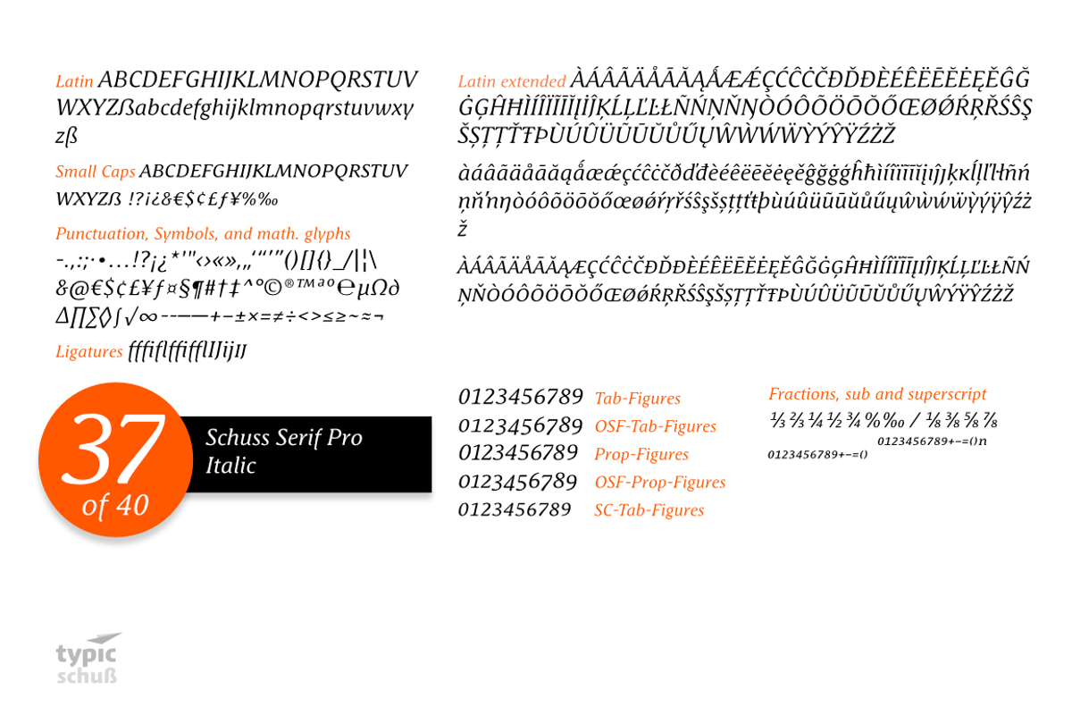 SchussSerifProIta No.37 (1 Font) preview 4