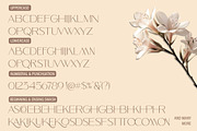 Skypiea Romantic Signature font Duo, a Serif Font by Romiecreative (Thumbnail 12 of 12)