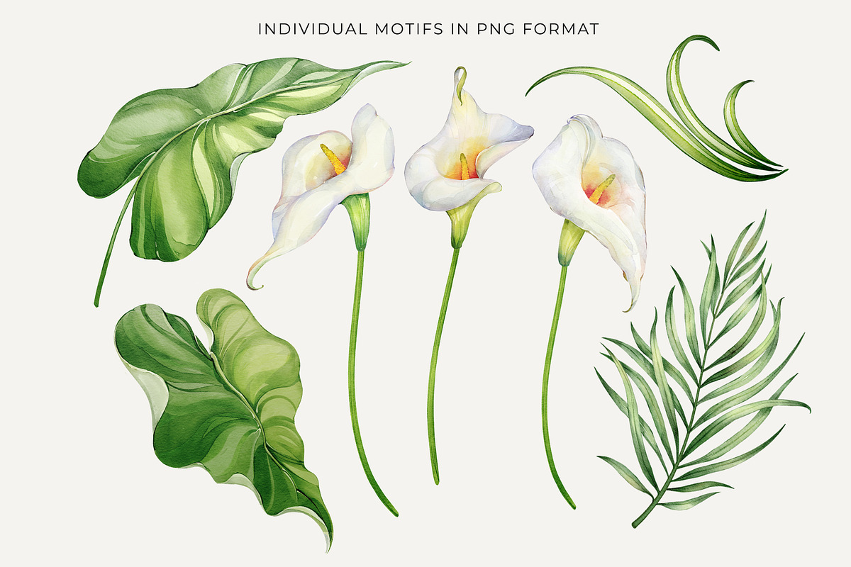 Calla Lily Seamless Pattern, a Pattern Graphic by PicByKate (Photo 6 of 13)