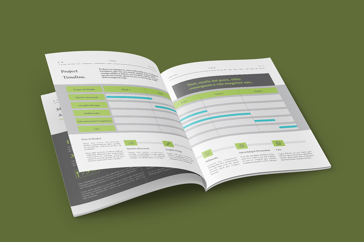Project Proposal, a Magazine Template by Oshin Design