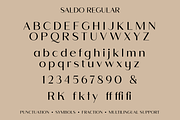 Saldo | Font Family, a Sans Serif Font by Larin Type Co. (Thumbnail 15 of 15)