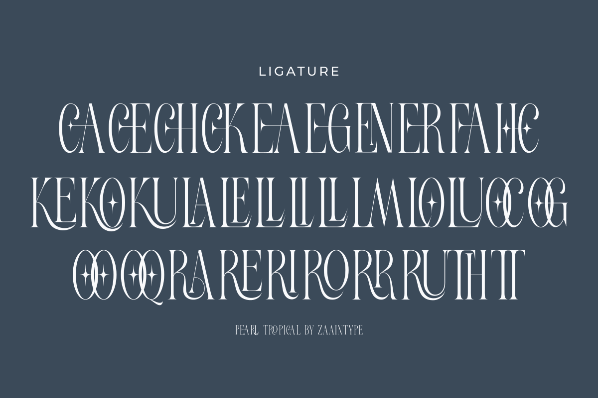 Pearl Tropical, a Serif Font by zaaintype (Photo 10 of 15)